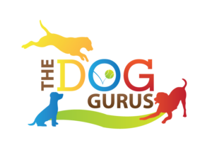 DogGurusColor3 DogGurusColor3